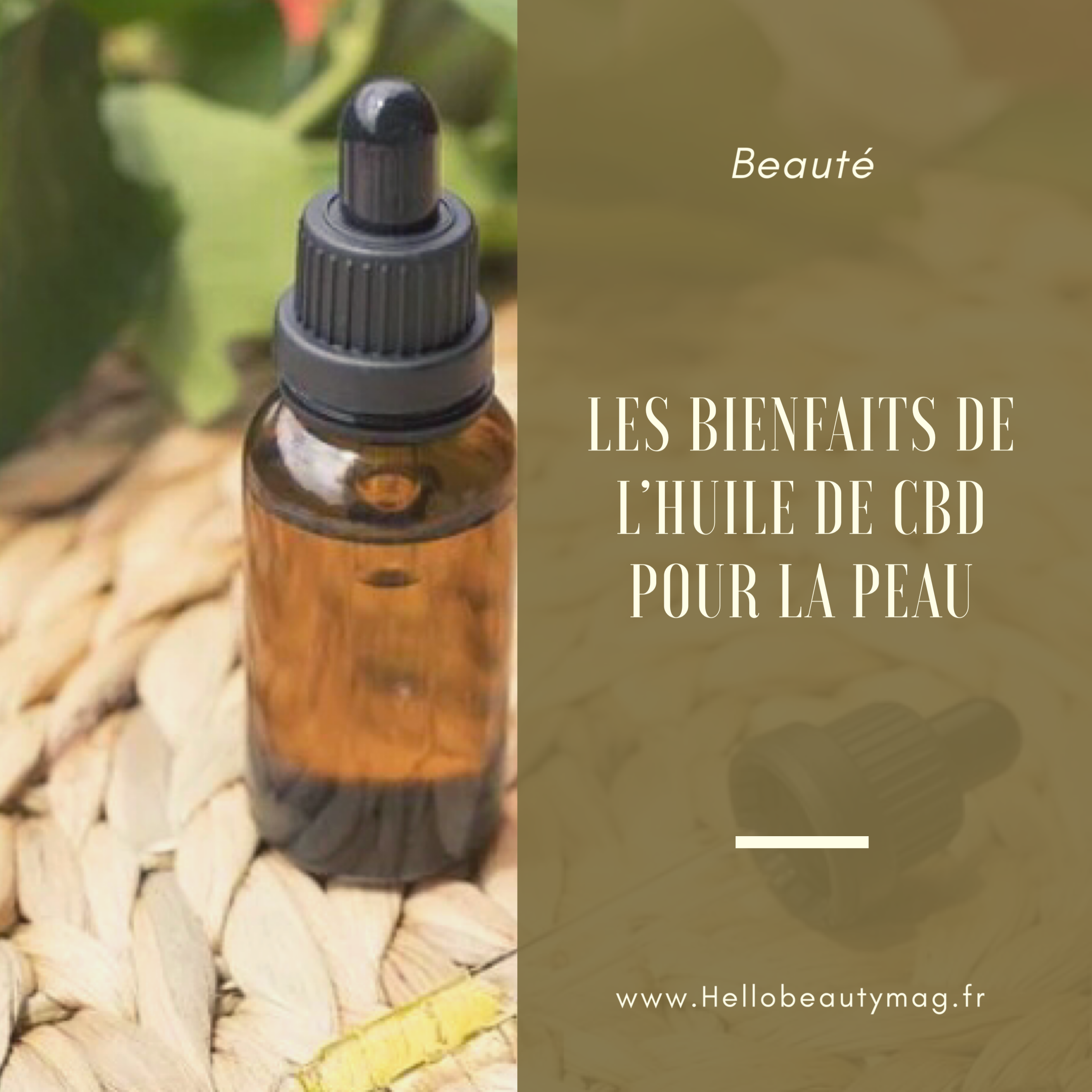 cbd-huile-chanvre-beaute-